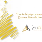 Synalcom vous souhaite de bonnes fêtes de fin d’année 2020 !